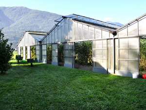 Glasshouse entrance of three systems next to each other.